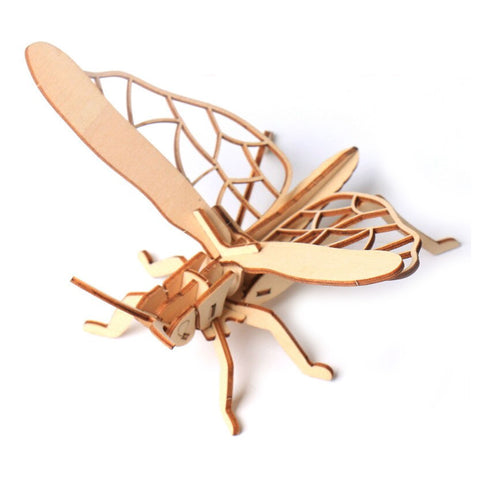 maquette-en-bois-insecte