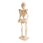 maquette-en-bois-squelette