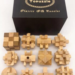 Pack de 12 Casse-Têtes en Bois