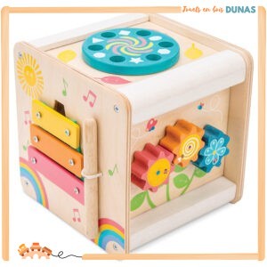 Petit Cube d'Activités