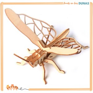 Maquette en Bois Insecte
