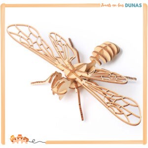 Maquette en Bois Libellule