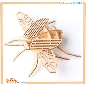 Maquette en Bois Scarabée