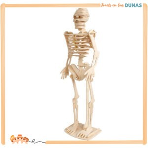 Maquette en Bois Squelette