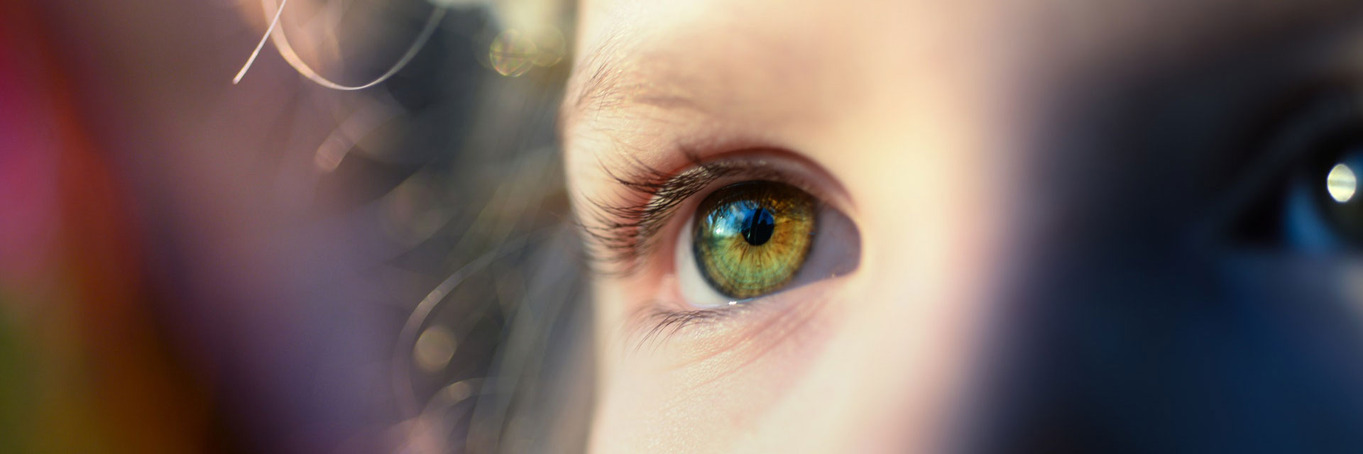 oeil