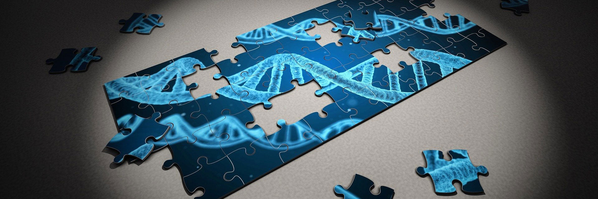 puzzle-biologie