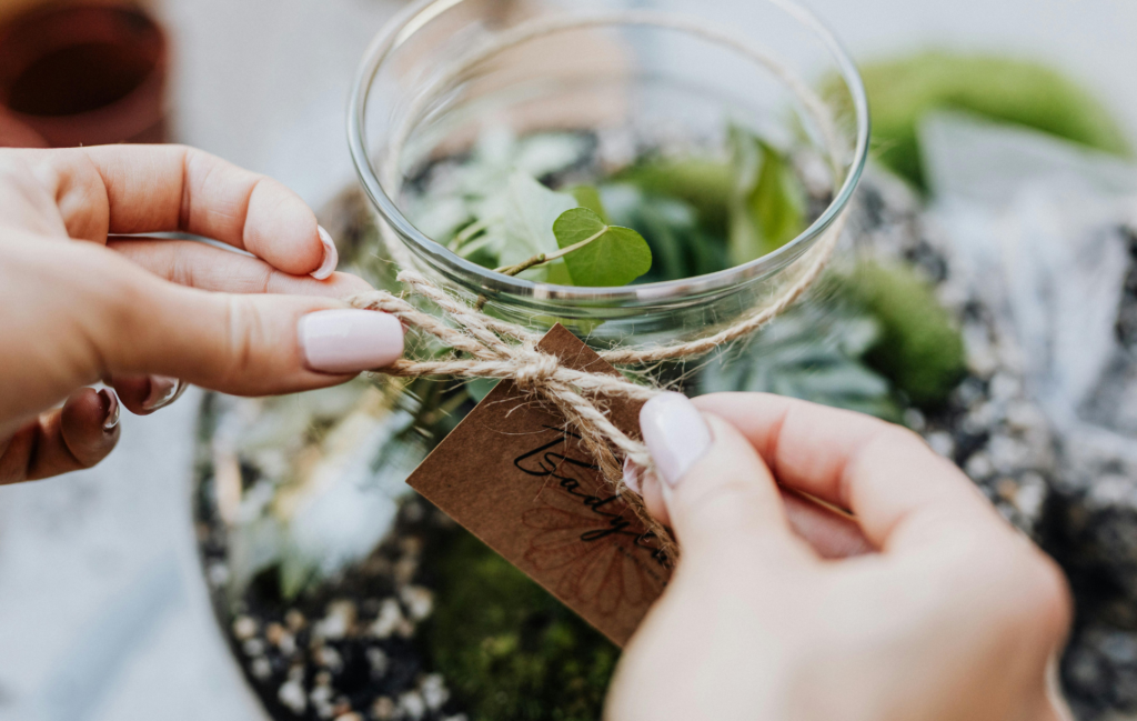 Terrarium d’hiver